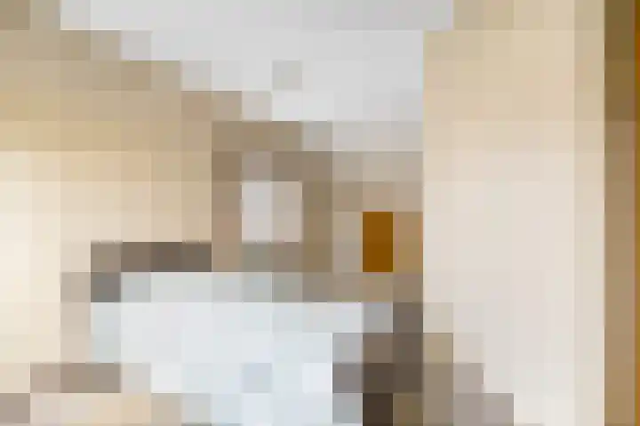Ter Hulstraat 9 Bunnik thumbnail 36