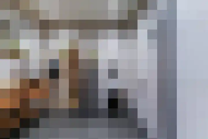 Ter Hunen 41 Drunen thumbnail 23