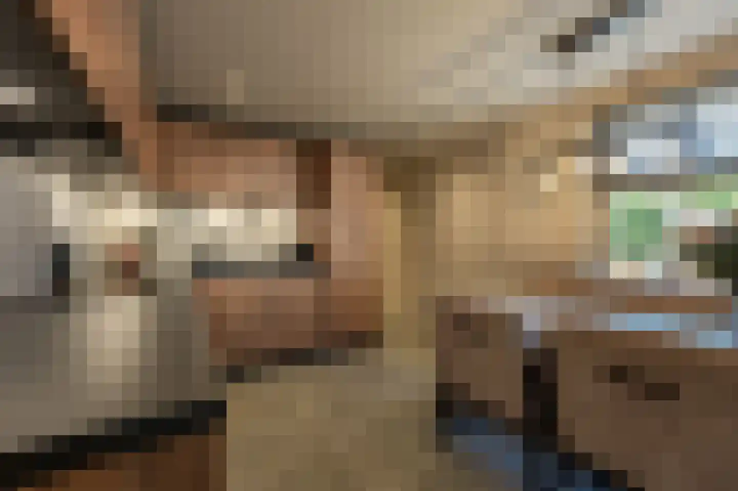 ter Kuilestraat 7 Mijnsheerenland thumbnail 10