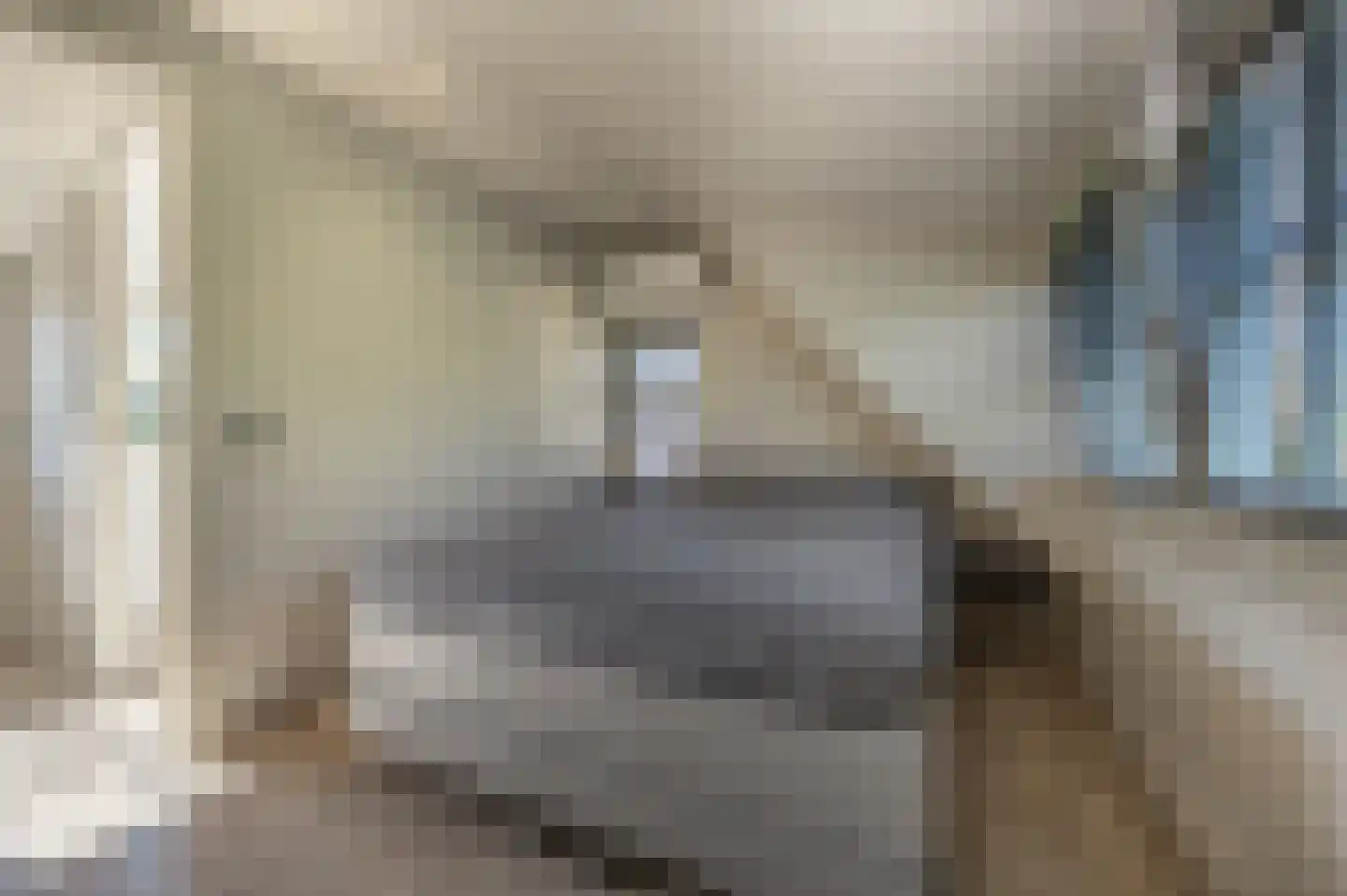 ter Kuilestraat 7 Mijnsheerenland thumbnail 15
