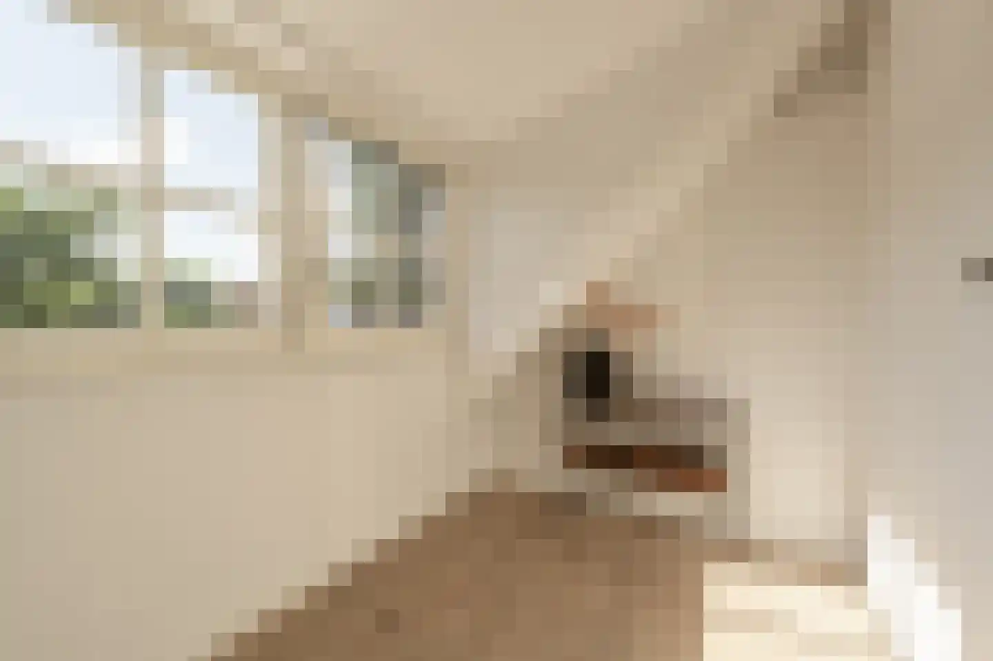 ter Kuilestraat 7 Mijnsheerenland thumbnail 17