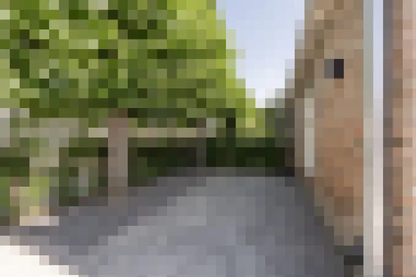 ter Kuilestraat 7 Mijnsheerenland thumbnail 23