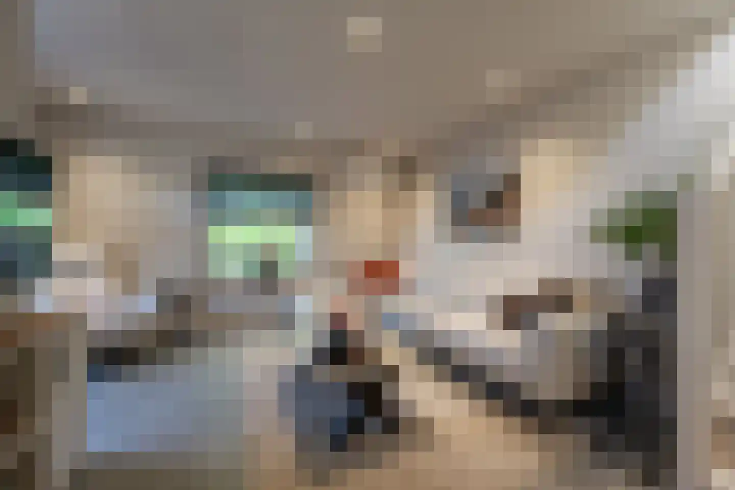 ter Kuilestraat 7 Mijnsheerenland thumbnail 4