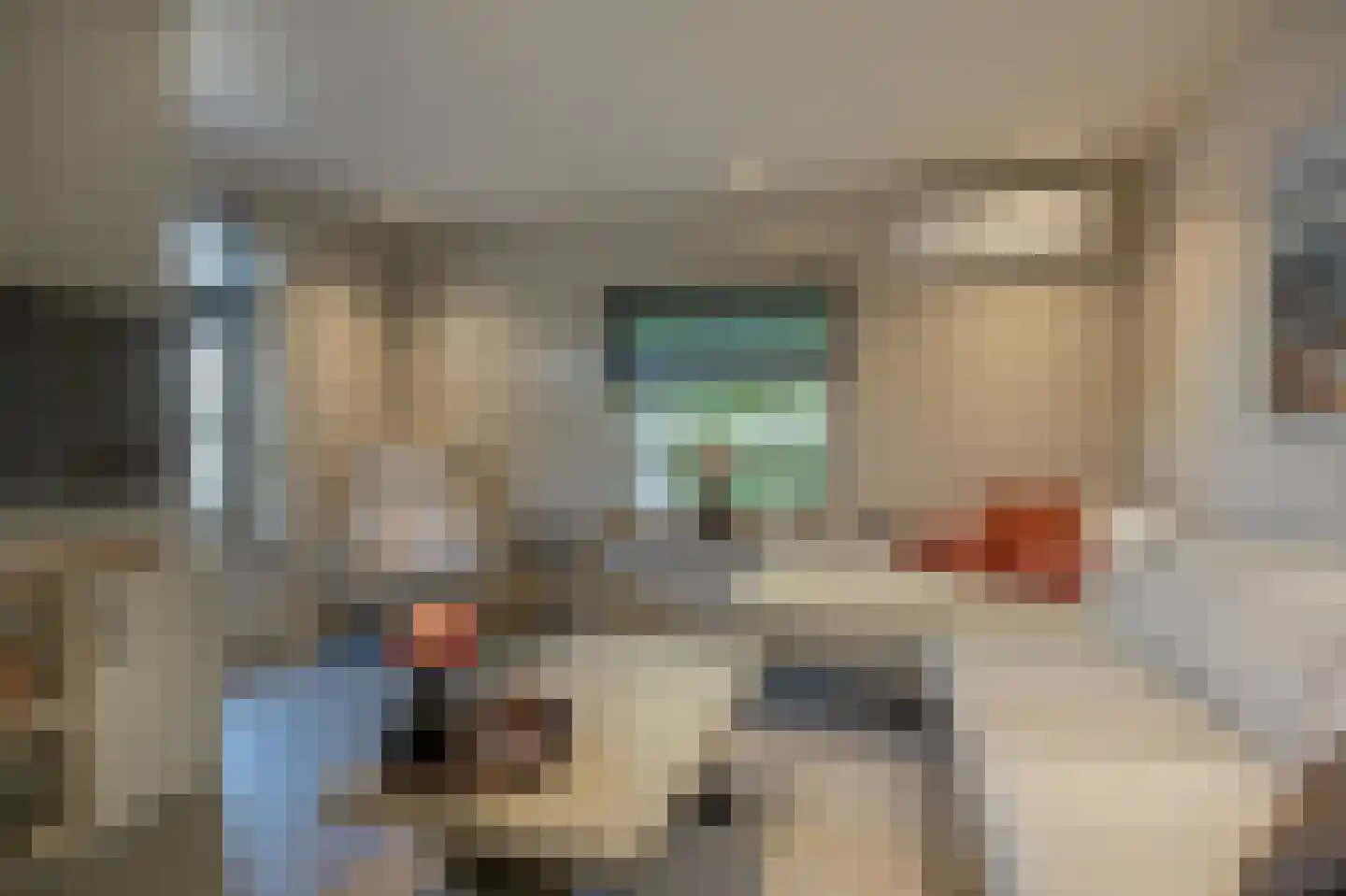 ter Kuilestraat 7 Mijnsheerenland thumbnail 5