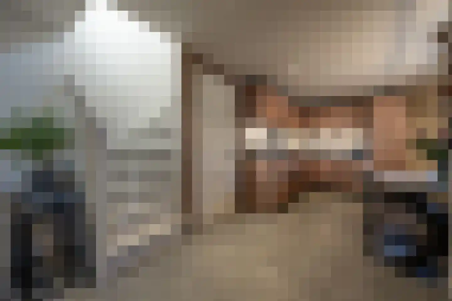 ter Kuilestraat 7 Mijnsheerenland thumbnail 8