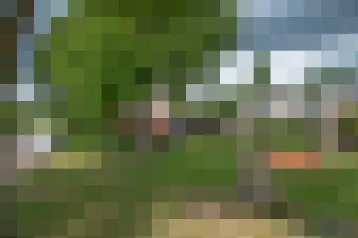 Ter Kuilestraat 9 Borne thumbnail 24