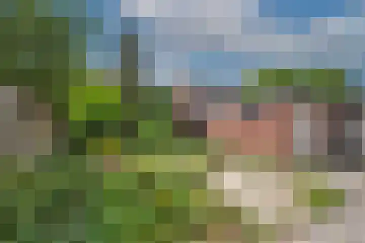 Ter Kuilestraat 9 Borne thumbnail 4