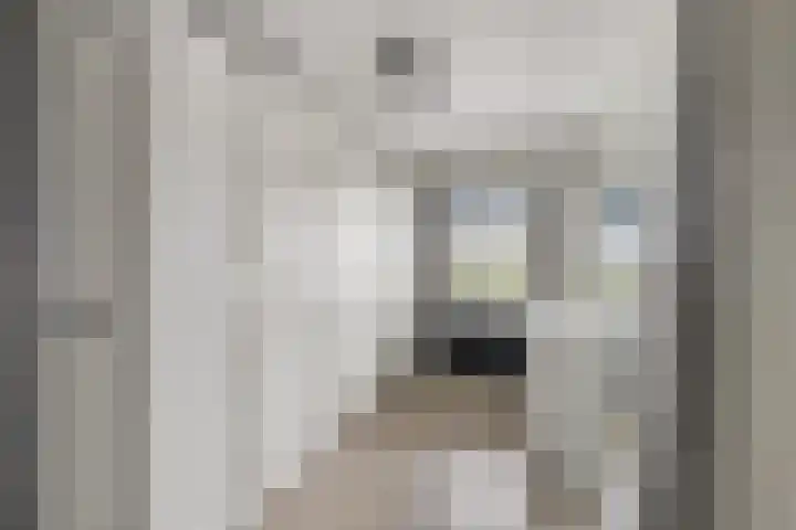 ter Laakstraat 11 Didam thumbnail 15