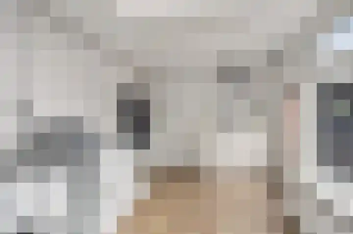ter Laakstraat 11 Didam thumbnail 8