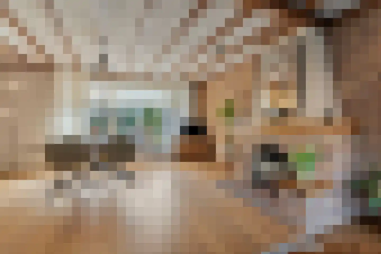 ter Laakstraat 4 Didam thumbnail 10