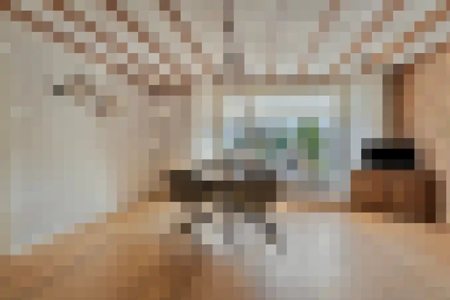 ter Laakstraat 4 Didam thumbnail 11