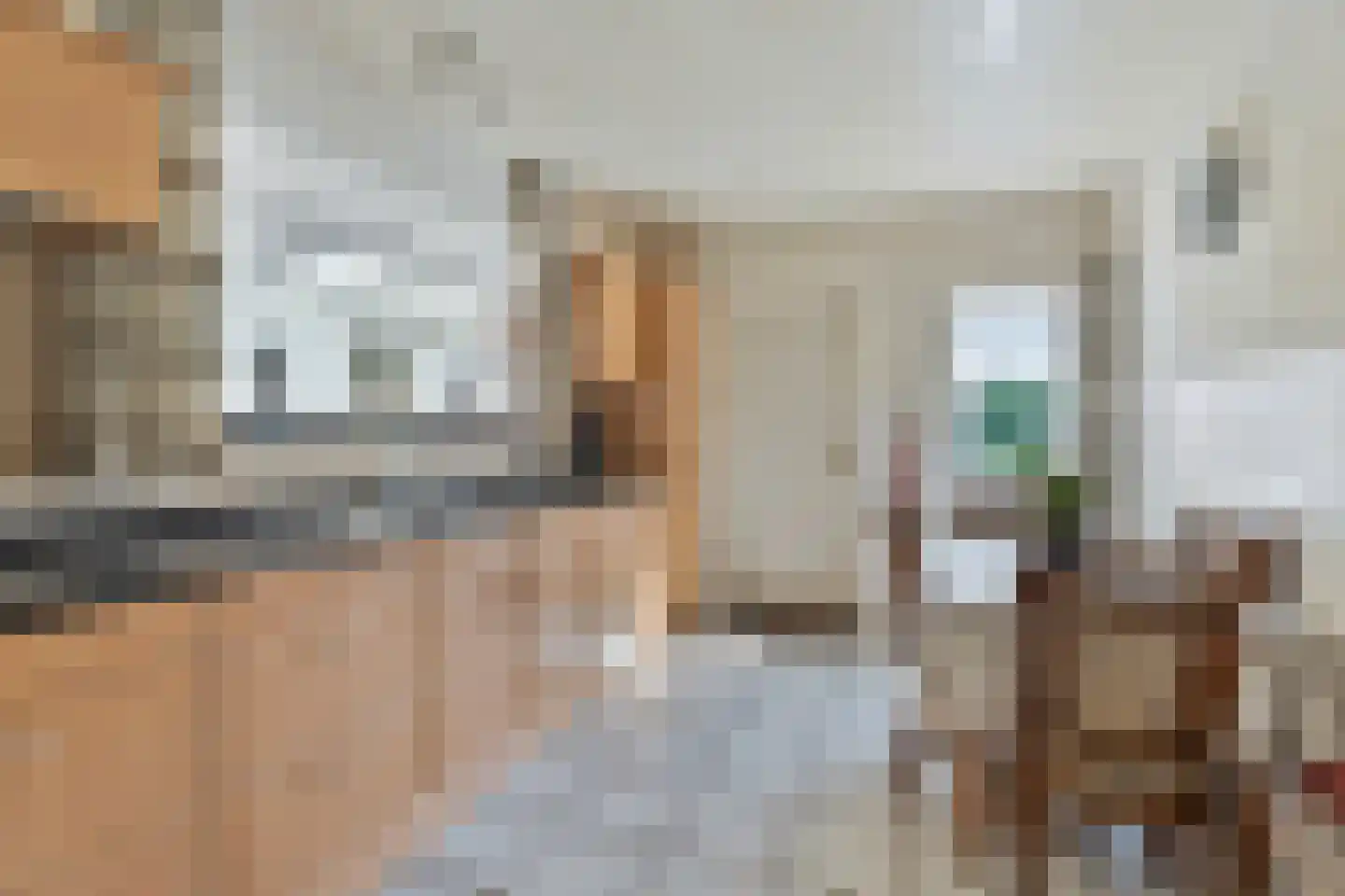 ter Laakstraat 4 Didam thumbnail 13