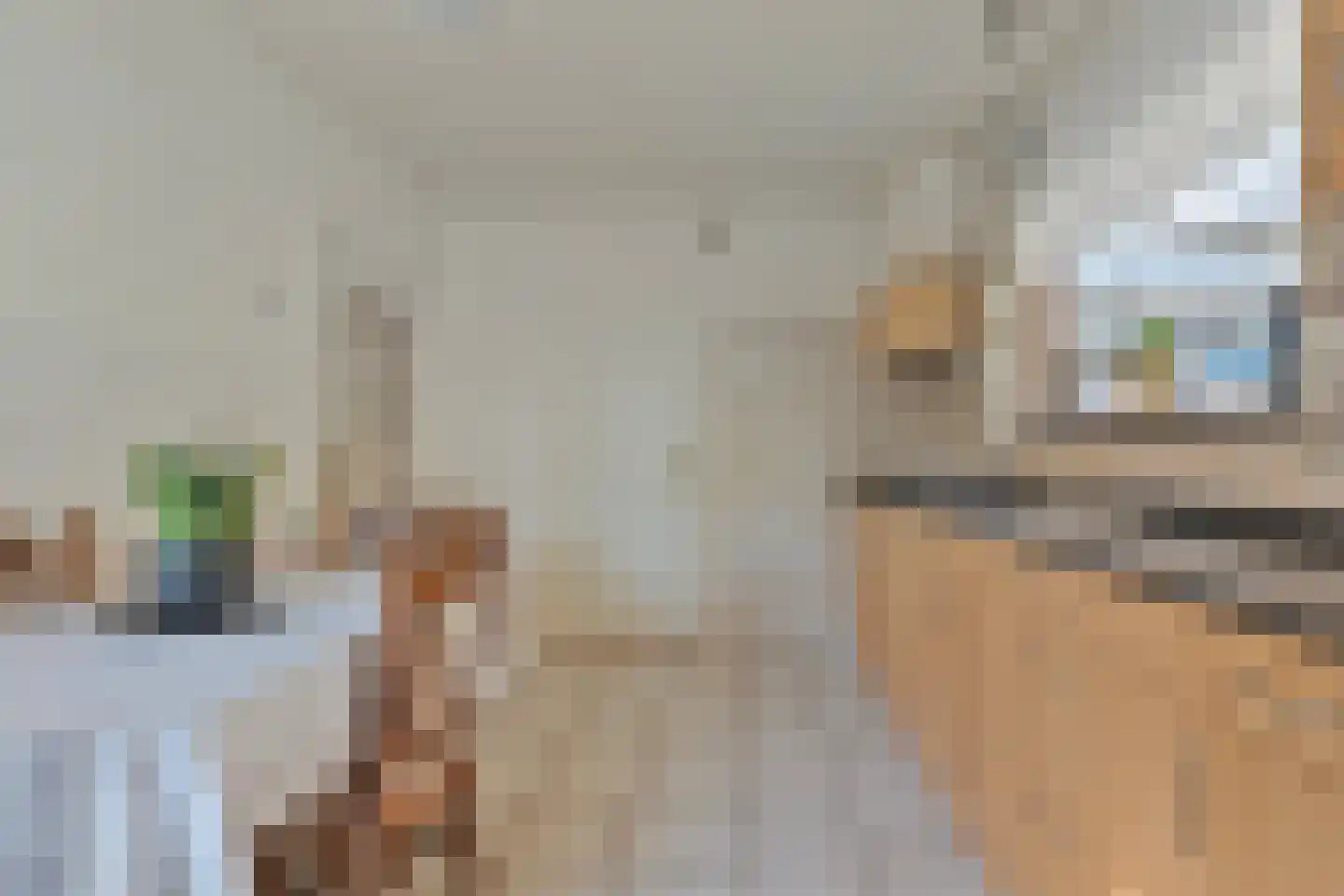 ter Laakstraat 4 Didam thumbnail 16