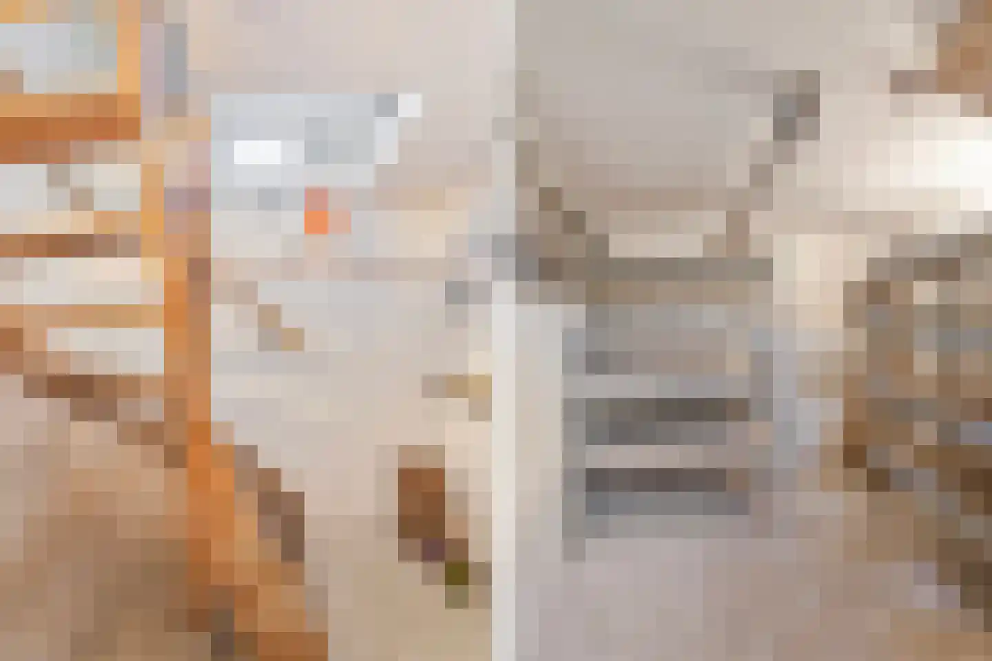 ter Laakstraat 4 Didam thumbnail 17