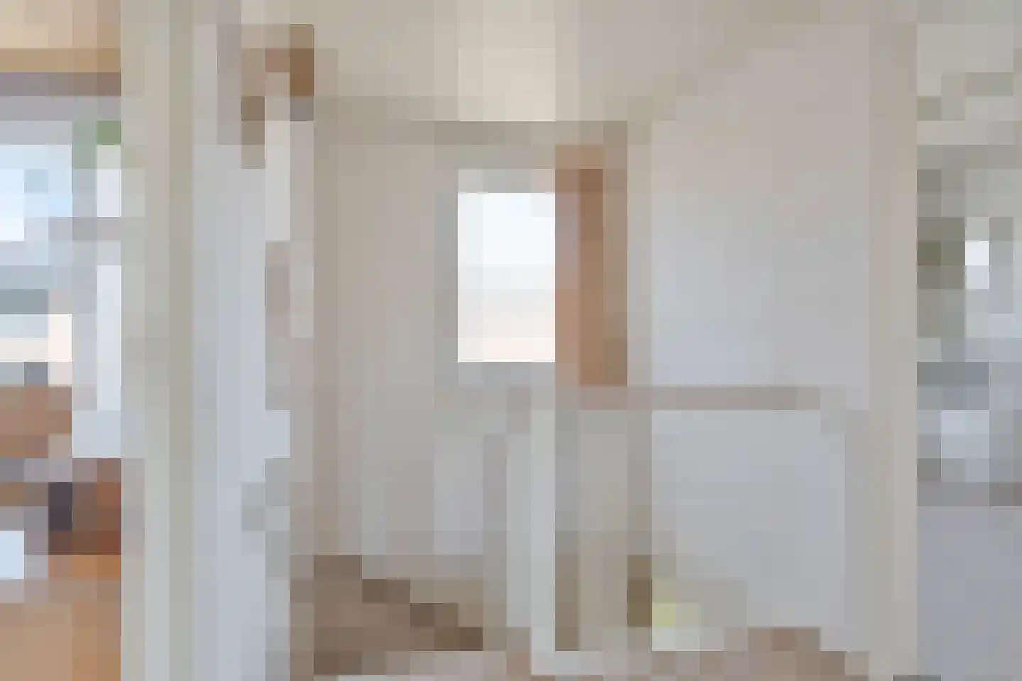 ter Laakstraat 4 Didam thumbnail 19