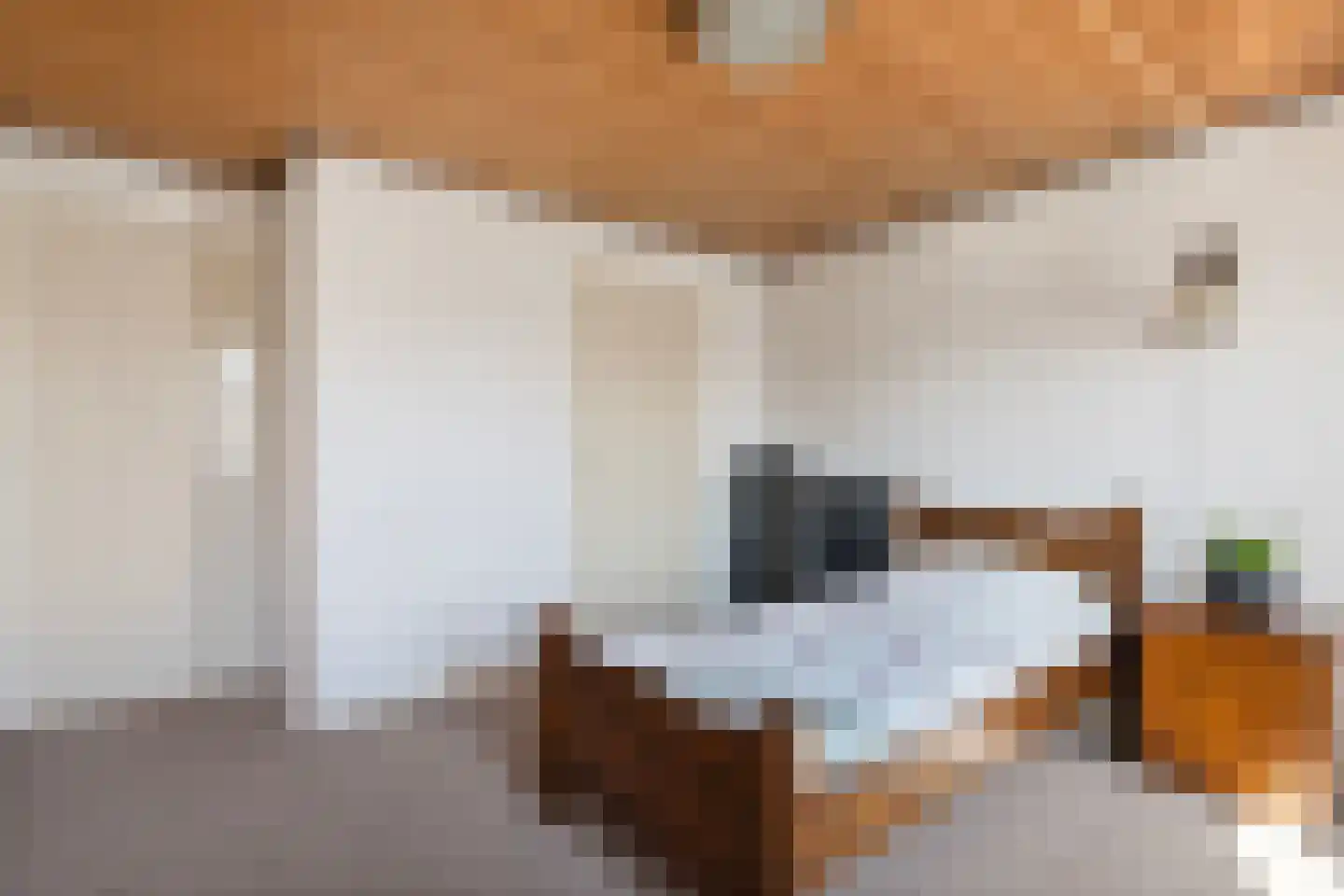 ter Laakstraat 4 Didam thumbnail 22