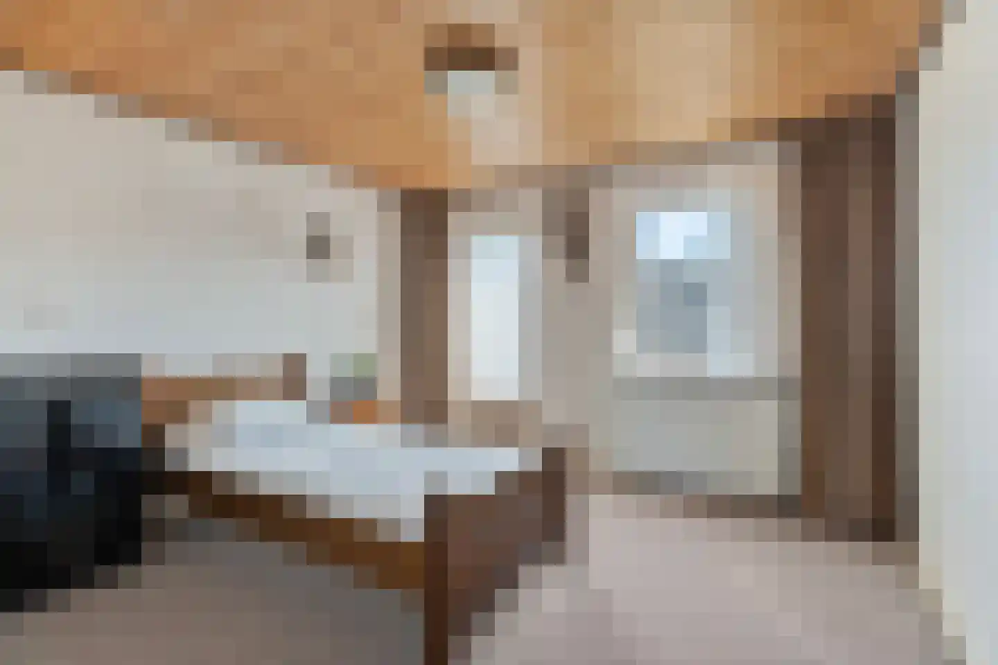 ter Laakstraat 4 Didam thumbnail 23