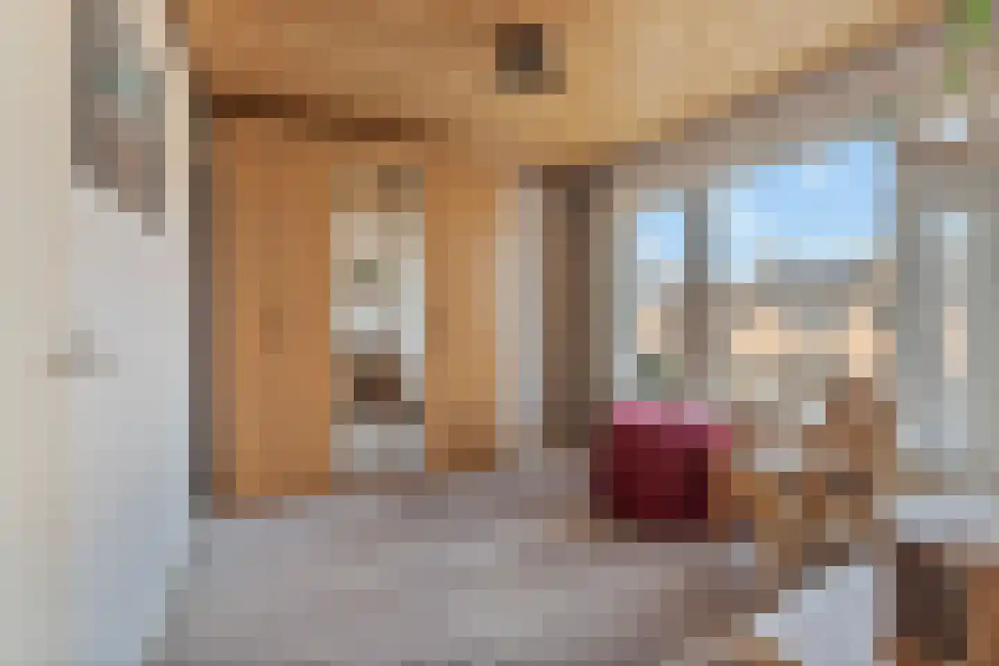 ter Laakstraat 4 Didam thumbnail 24