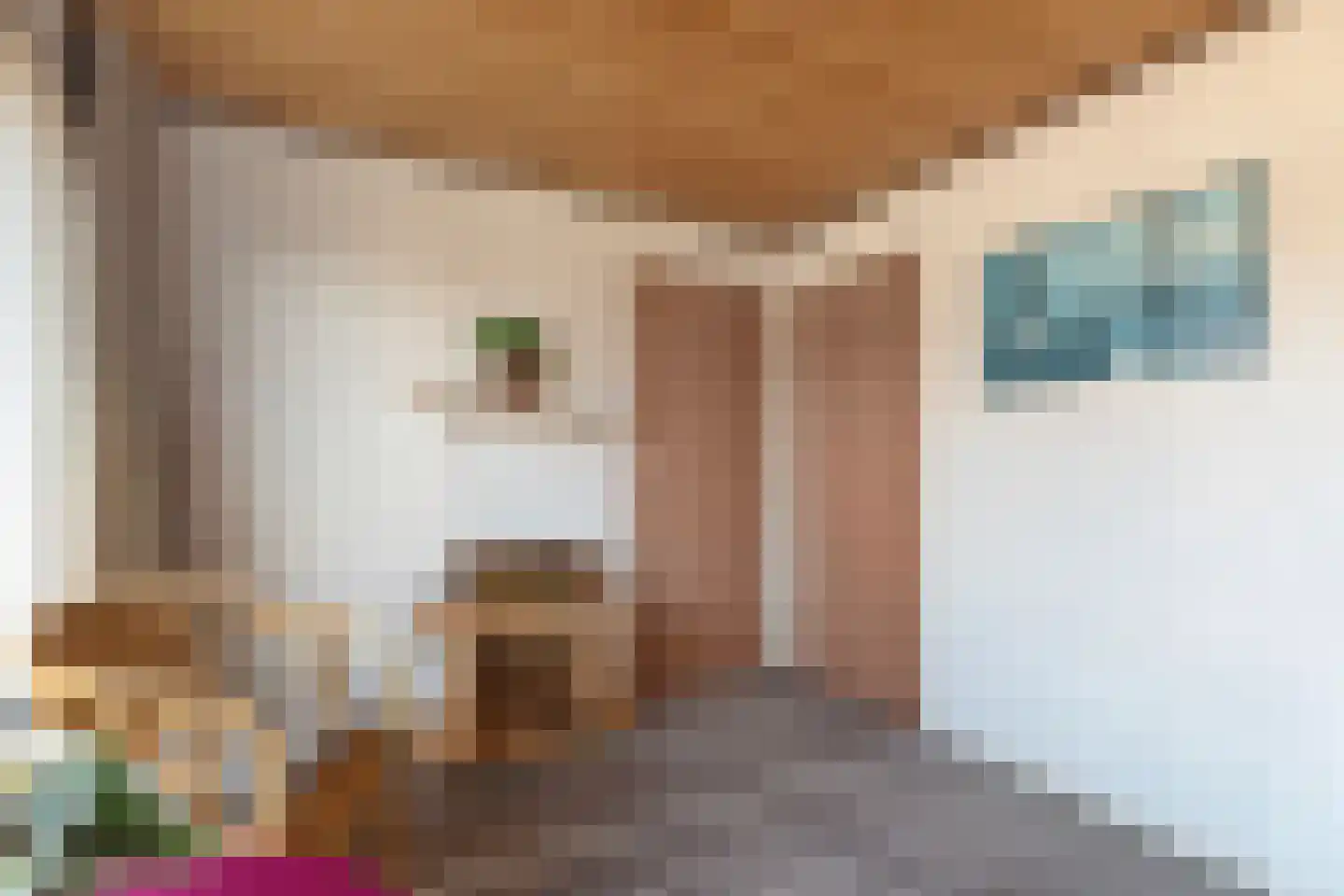 ter Laakstraat 4 Didam thumbnail 25
