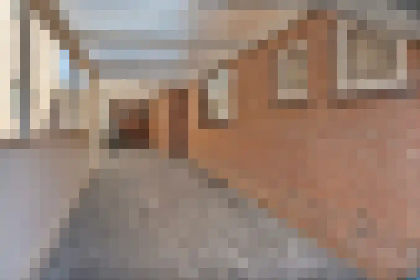 ter Laakstraat 4 Didam thumbnail 29