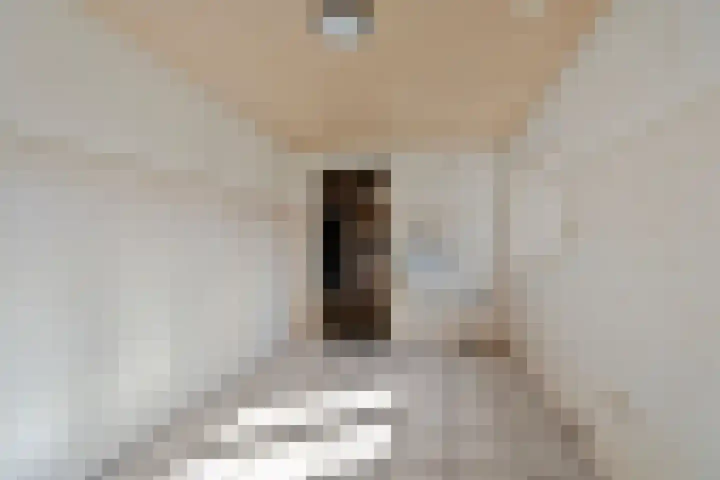ter Laakstraat 4 Didam thumbnail 30