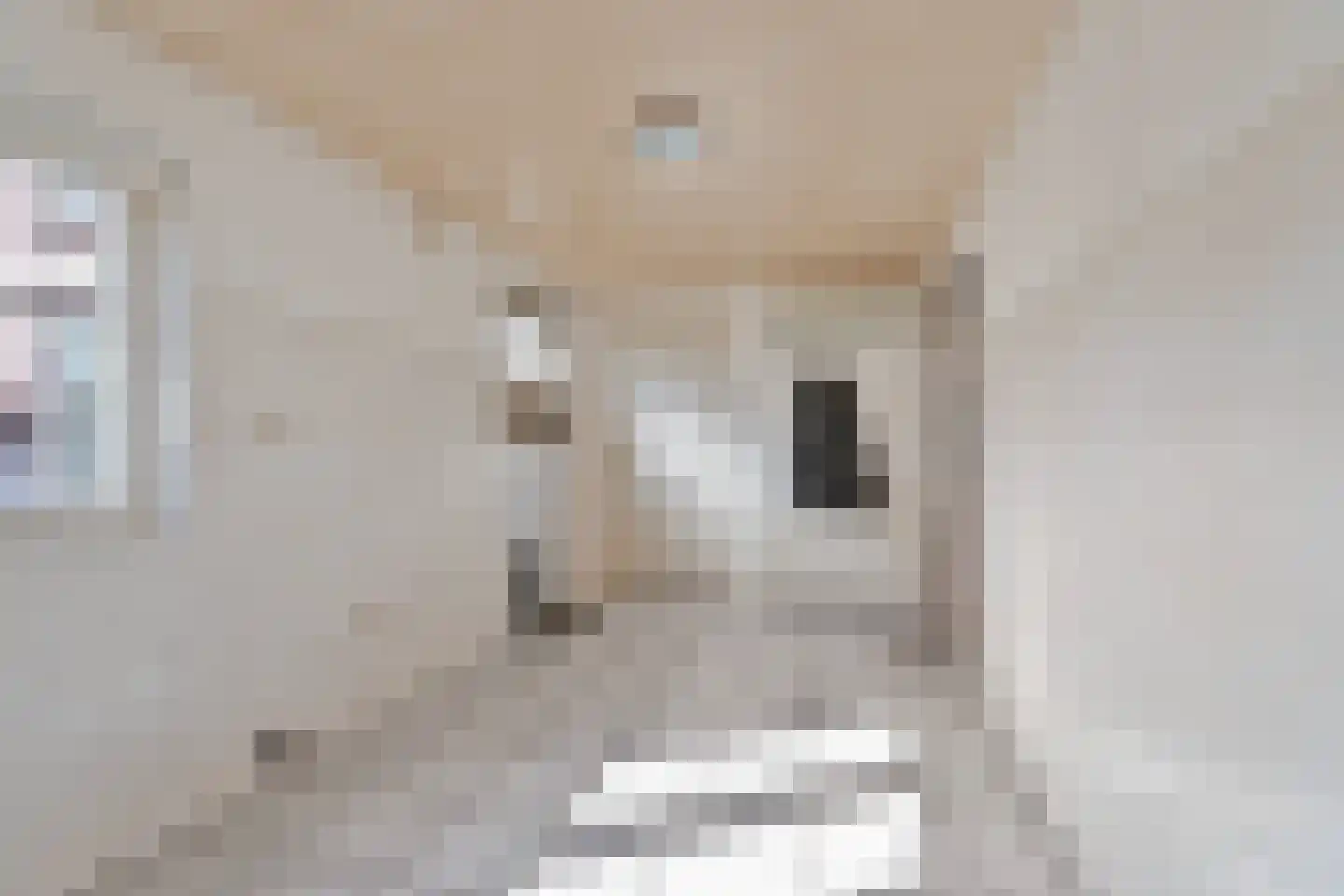 ter Laakstraat 4 Didam thumbnail 31