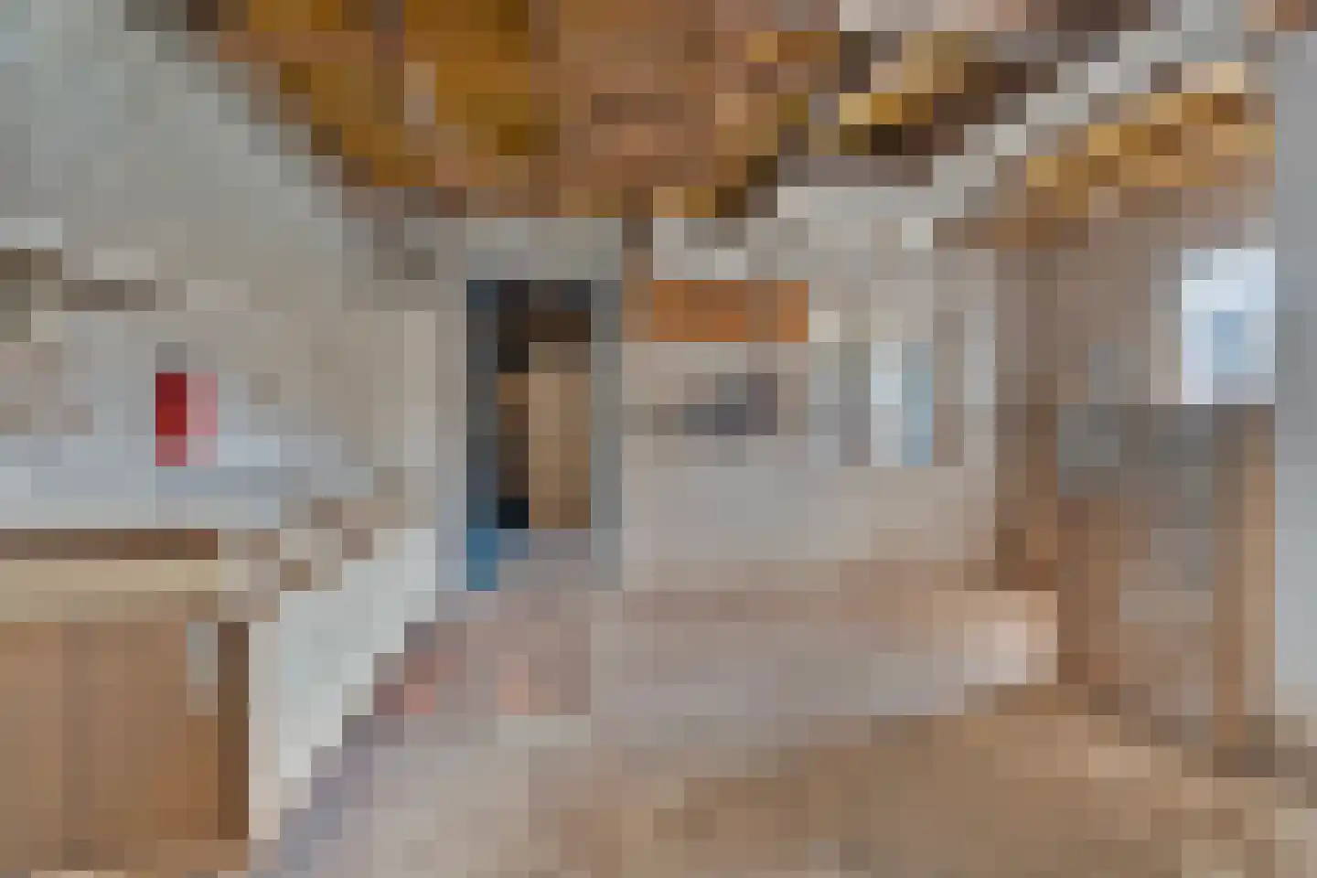 ter Laakstraat 4 Didam thumbnail 32