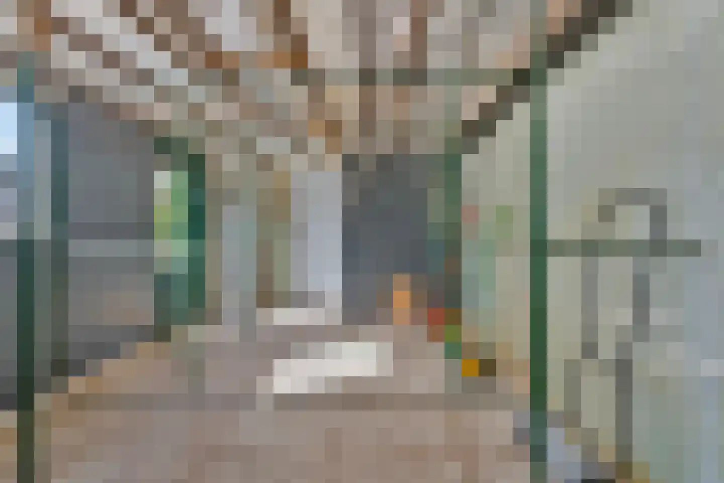ter Laakstraat 4 Didam thumbnail 36