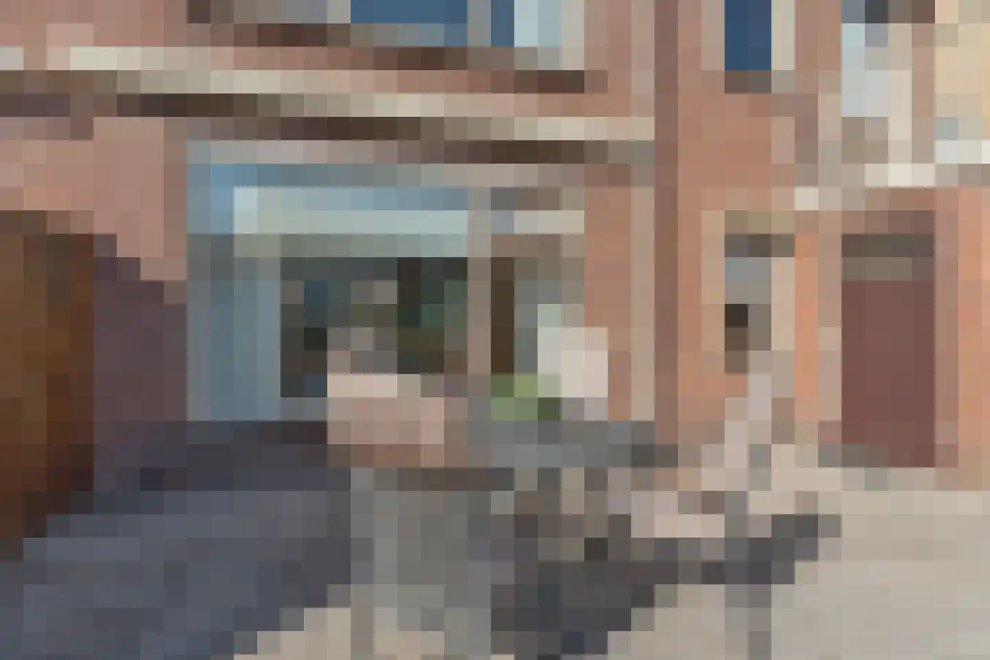 ter Laakstraat 4 Didam thumbnail 38