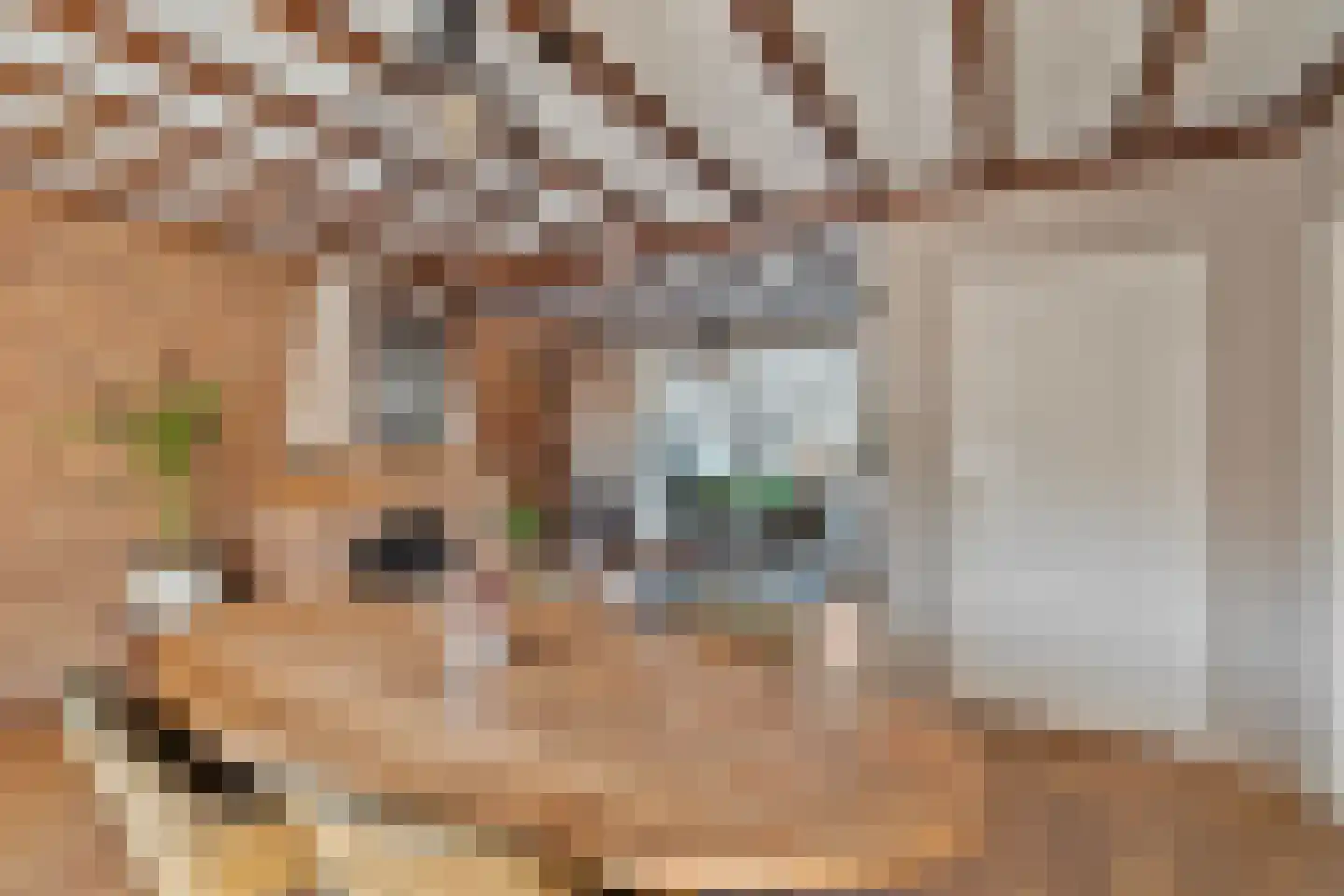 ter Laakstraat 4 Didam thumbnail 4