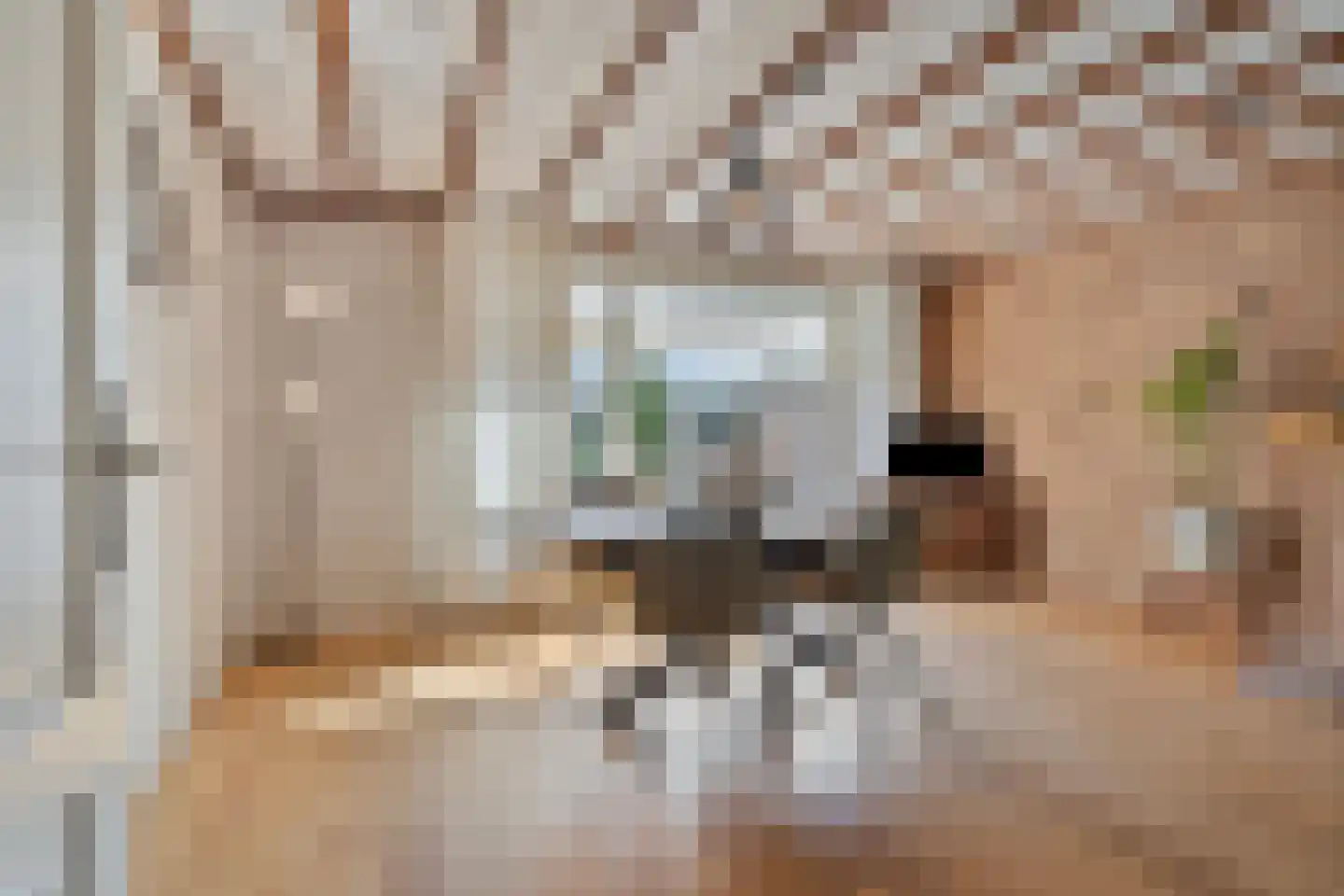 ter Laakstraat 4 Didam thumbnail 6