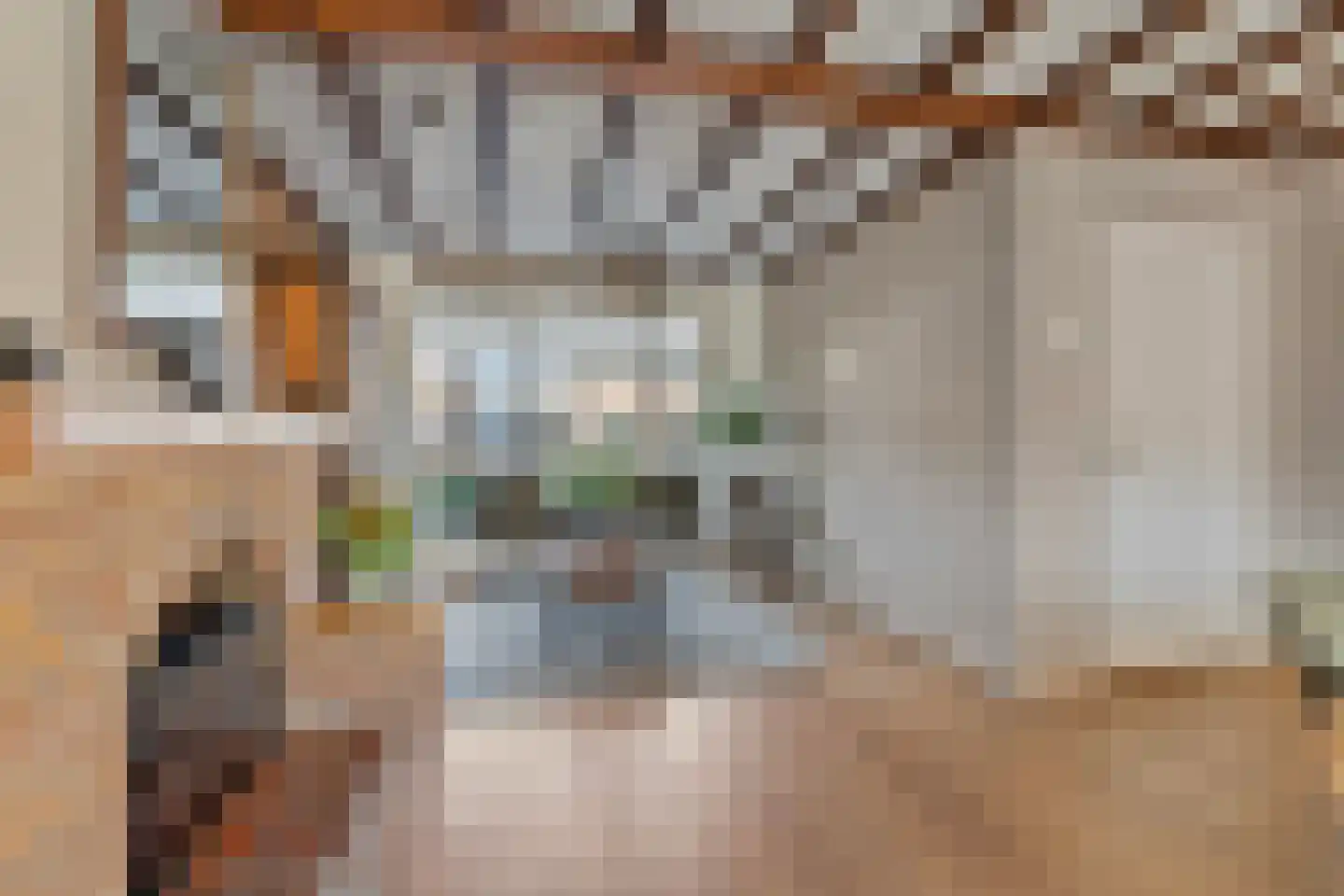ter Laakstraat 4 Didam thumbnail 7