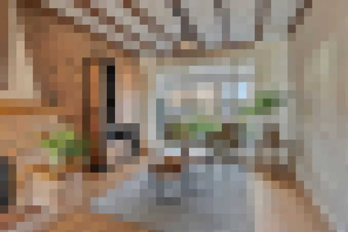 ter Laakstraat 4 Didam thumbnail 8
