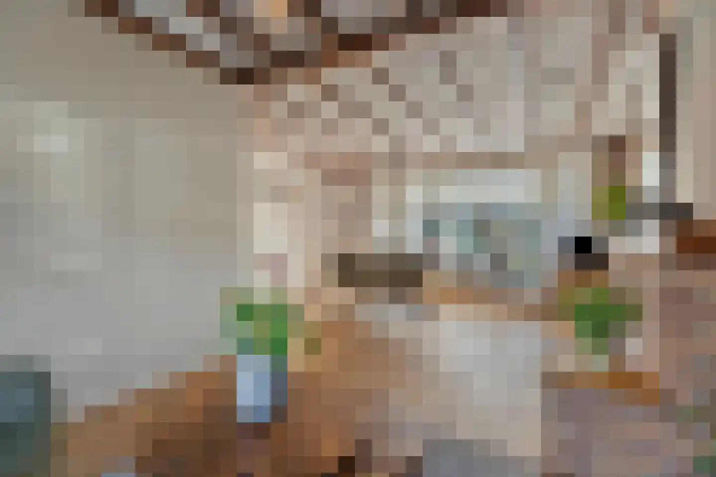 ter Laakstraat 4 Didam thumbnail 9