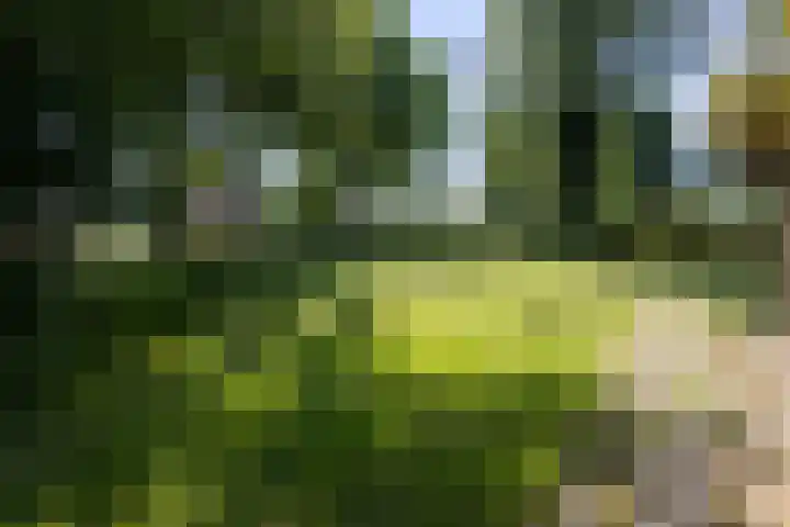 ter Laanstraat 19 Veendam thumbnail 25