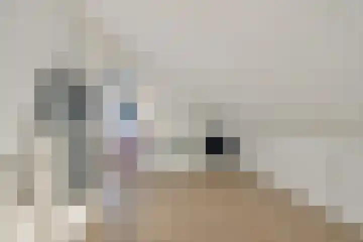 Ter Laanstraat 5 Utrecht thumbnail 41