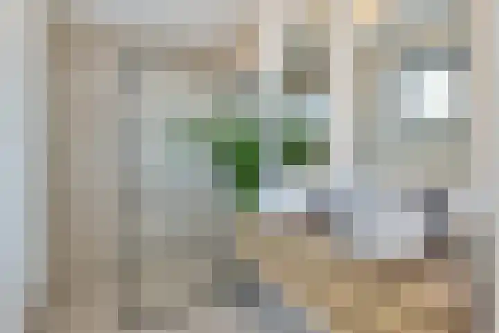 Ter Laanstraat 5 Utrecht thumbnail 5