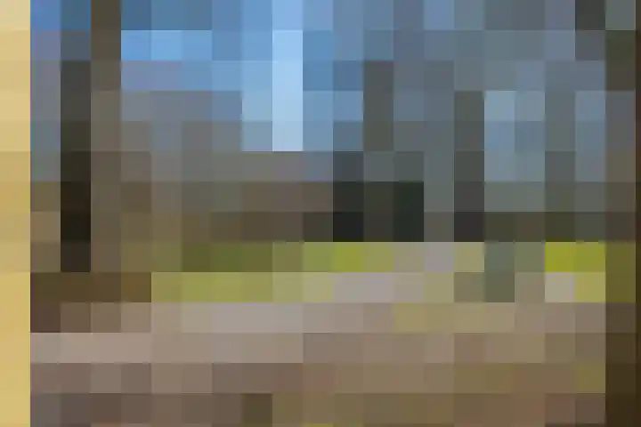 Ter Laanstraat 5 Utrecht thumbnail 52