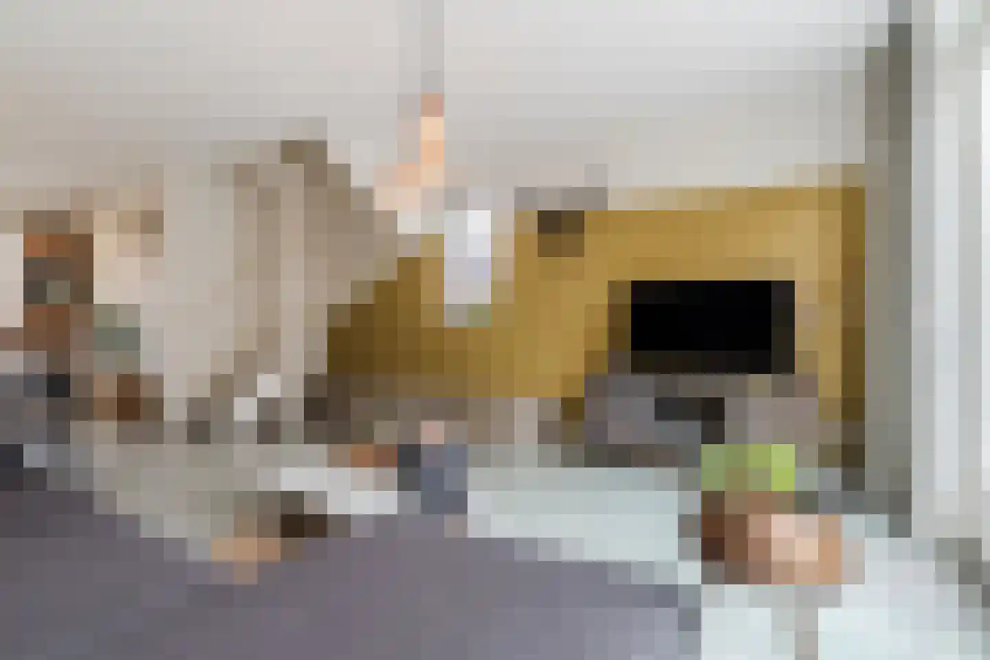 Ter Lijnden 16 Beek en Donk thumbnail 11