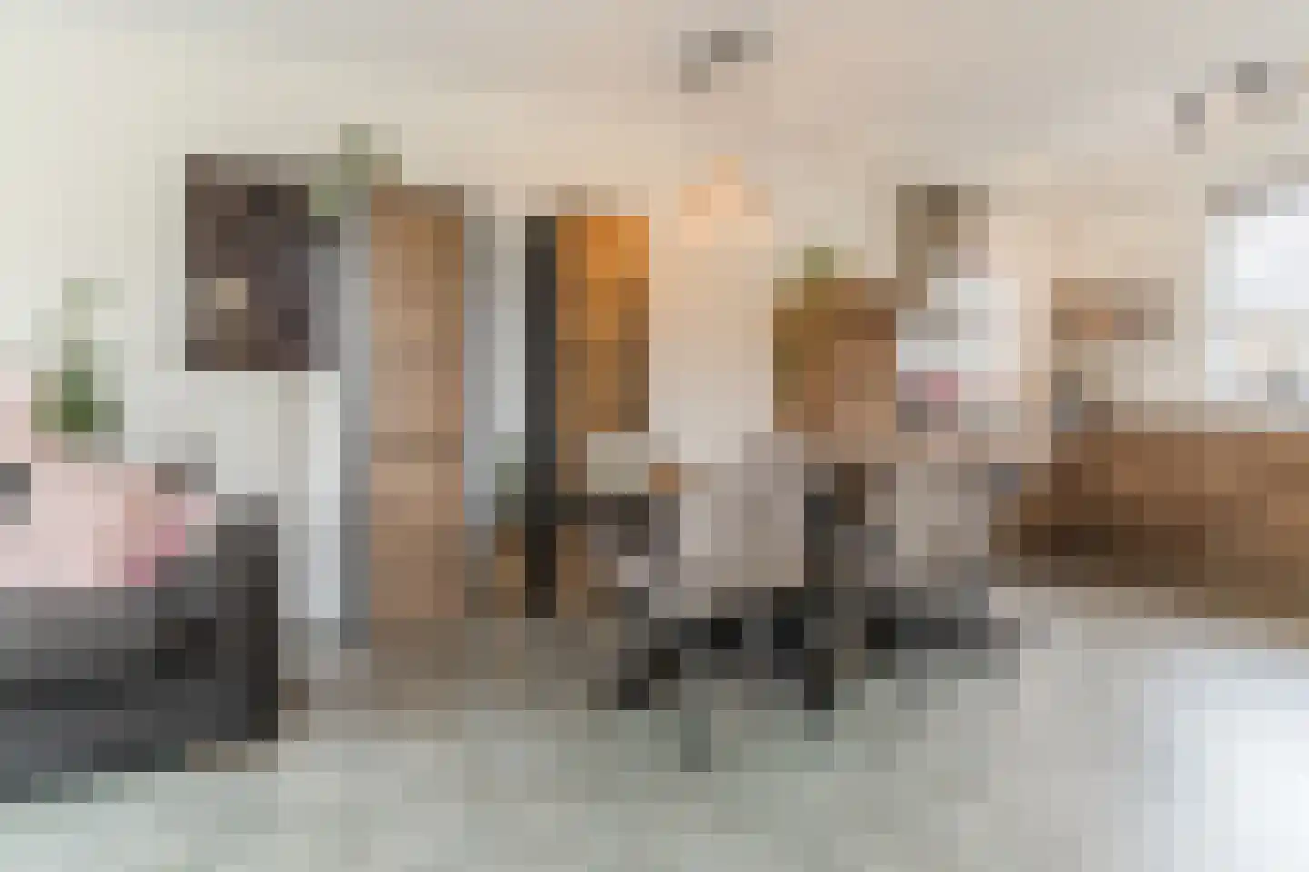 Ter Lijnden 16 Beek en Donk thumbnail 13