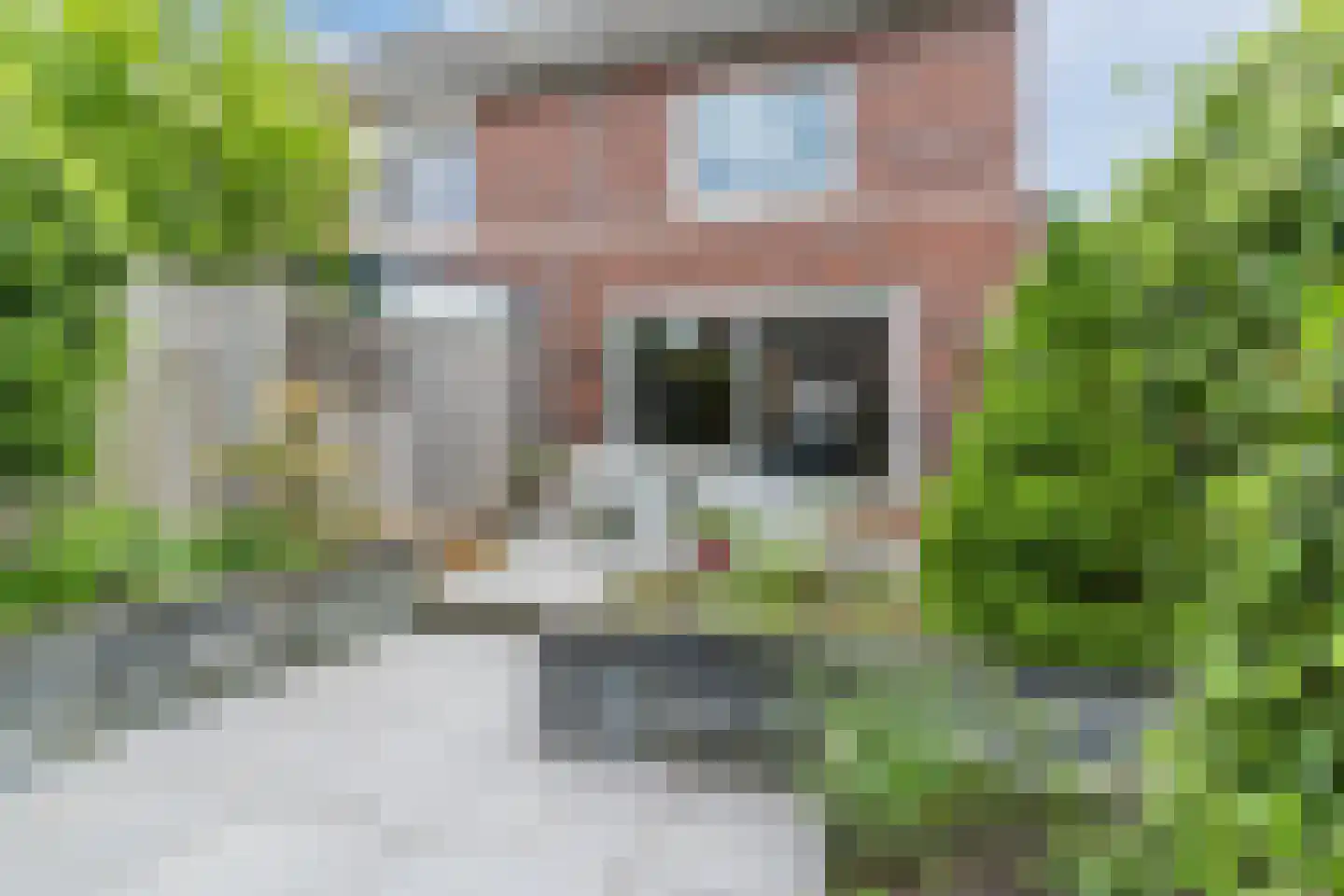 Ter Lijnden 16 Beek en Donk thumbnail 17