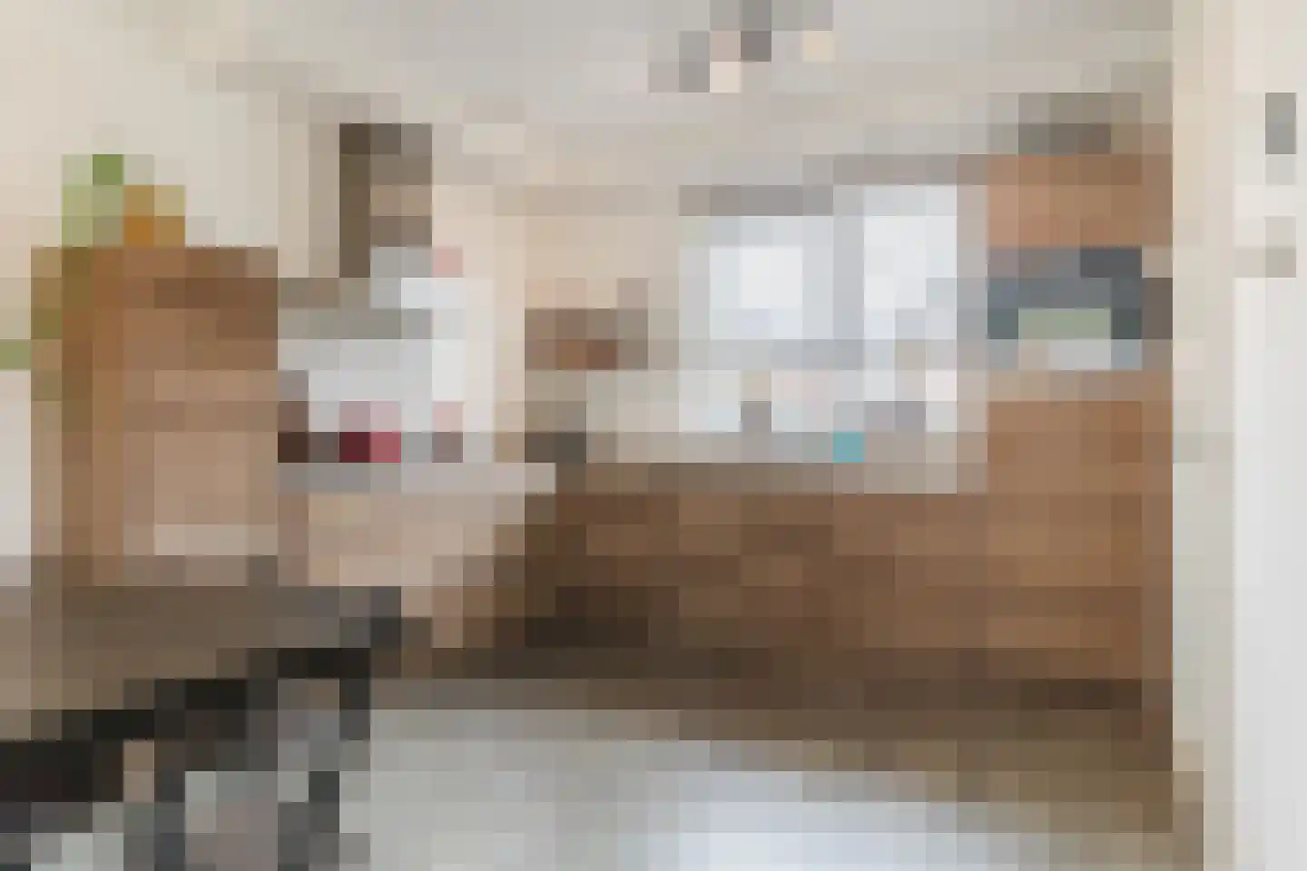 Ter Lijnden 16 Beek en Donk foto 3