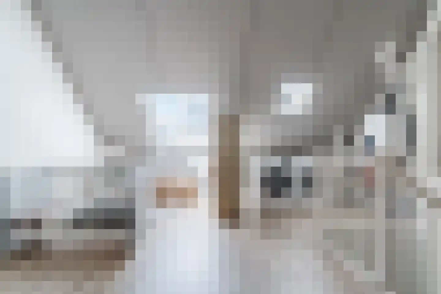 Ter Lijnden 16 Beek en Donk thumbnail 30
