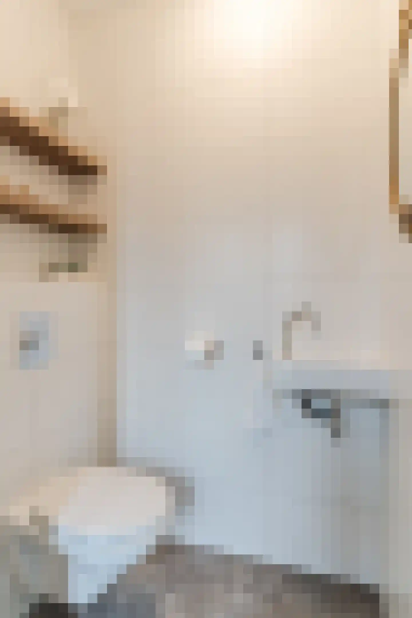 Ter Lijnden 16 Beek en Donk thumbnail 9