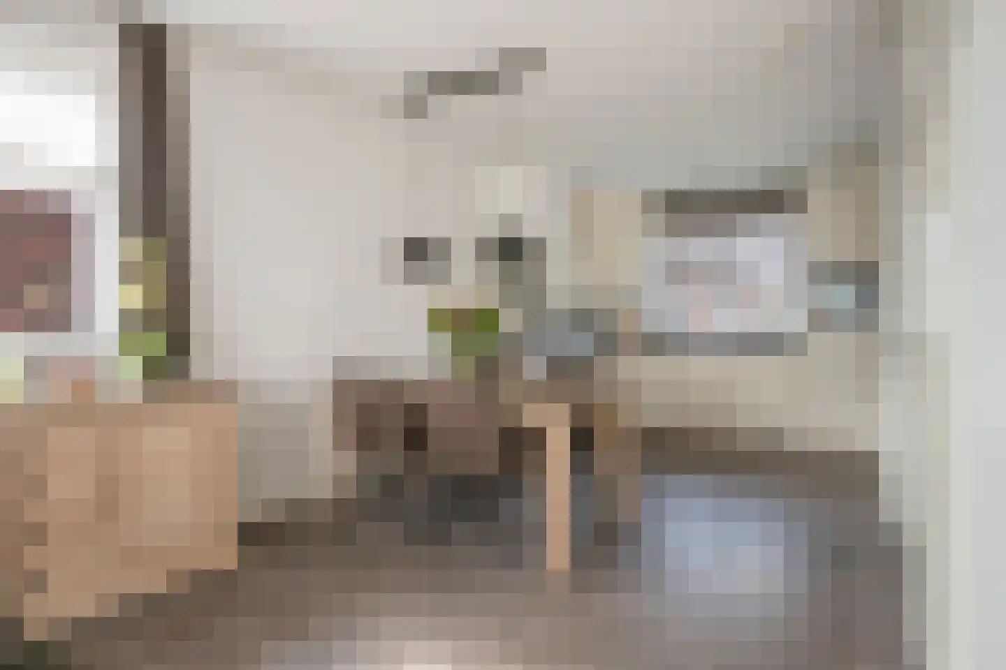 Ter Lijnden 6 Beek en Donk thumbnail 7