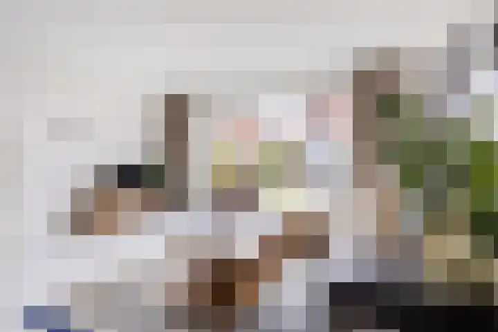 Ter Lijnden 8 Beek en Donk thumbnail 10