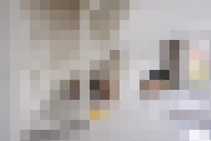 Ter Lijnden 8 Beek en Donk thumbnail 11