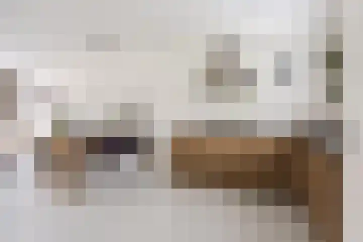 Ter Lijnden 8 Beek en Donk thumbnail 14