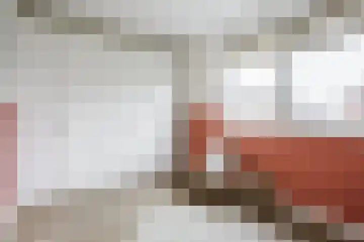 Ter Lijnden 8 Beek en Donk thumbnail 21