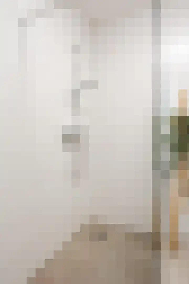 Ter Lijnden 8 Beek en Donk thumbnail 25